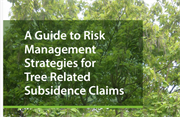 Hot summer gives local authorities challenges with tree-related subsidence